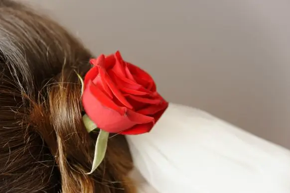 Fred Briffaut Photographe — photo 5