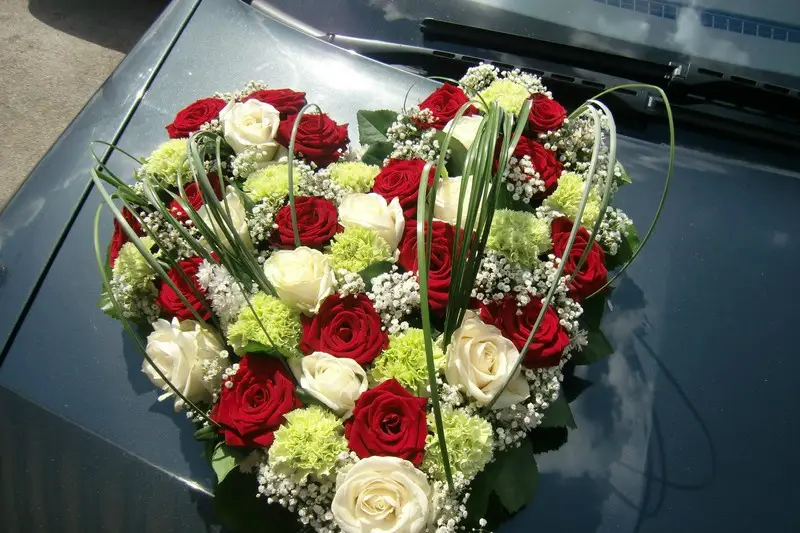 L'instant féerique — photo 3