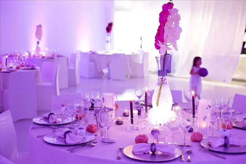 Salon Tiger — photo 5