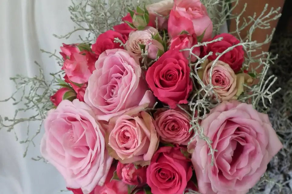 Madam'Tulipe — photo 1