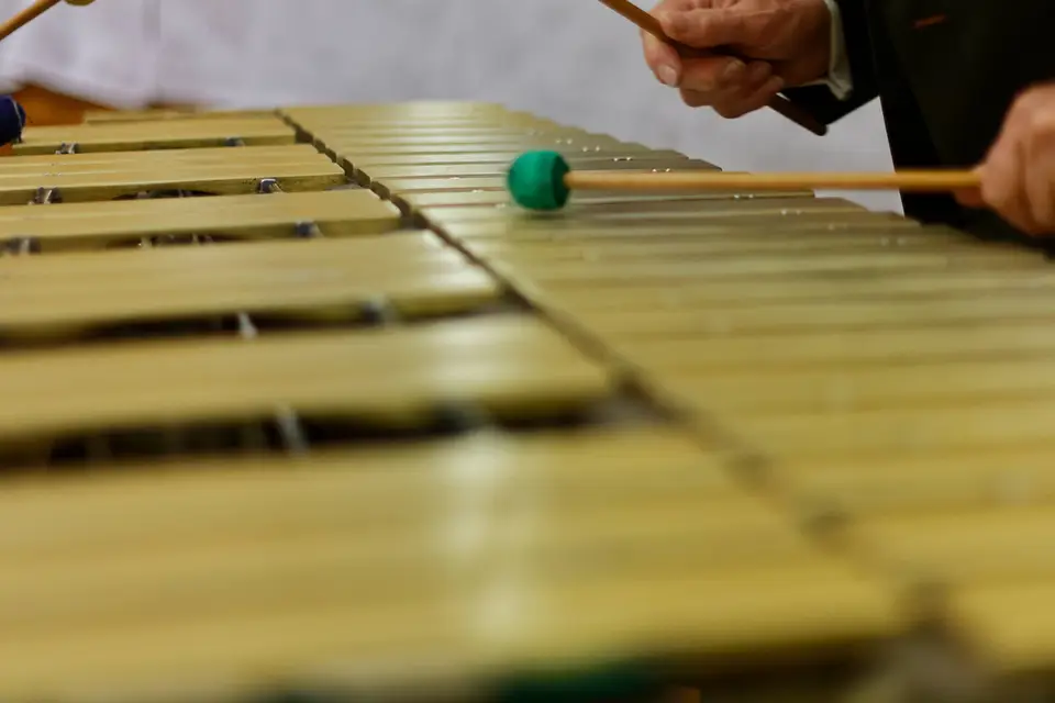 Archysax — photo 7