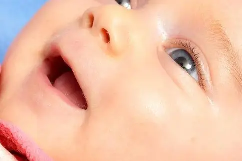 Guichard Studio — photo 5