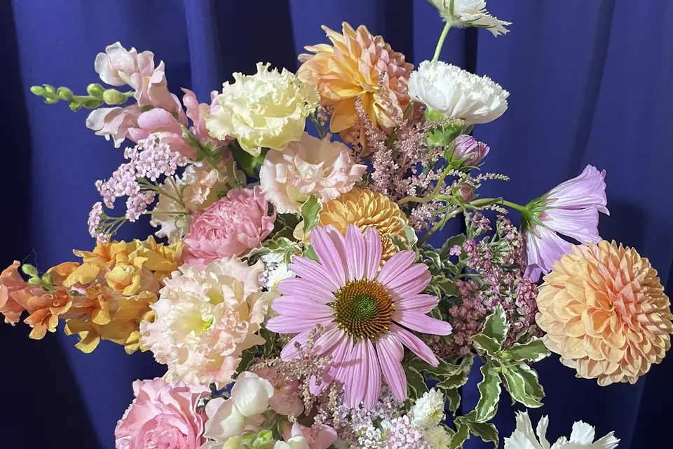 Les Imparfaites — photo 8