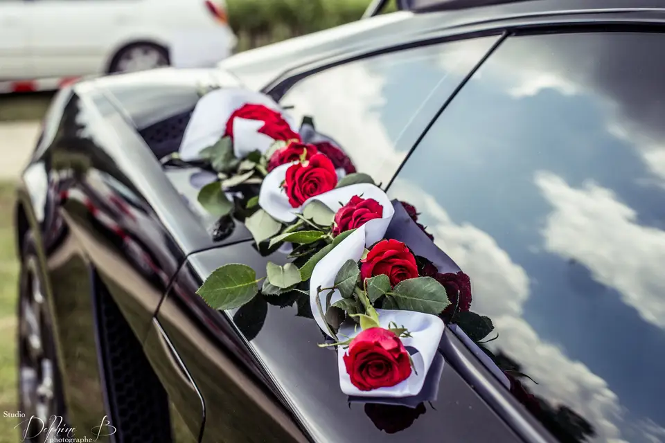 Fleurs d'ambiance — photo 3