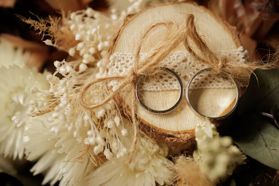 Nicolas Donarier — photo 5