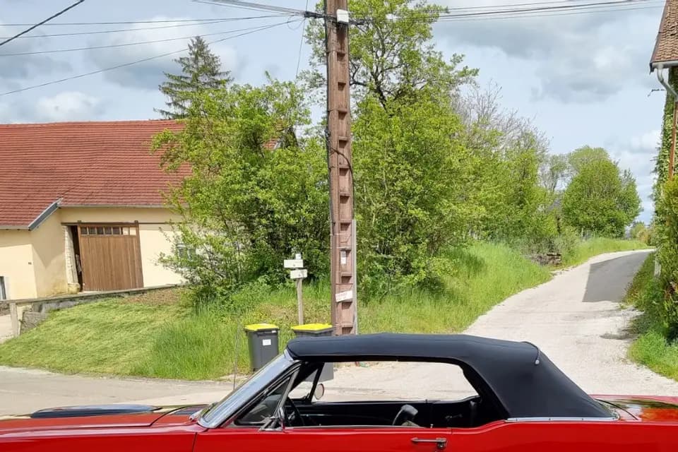 Mustang Location — photo 4