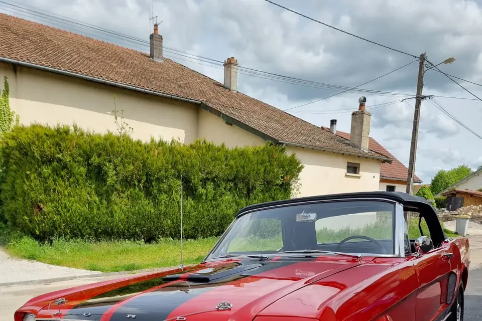 Mustang Location — photo 5