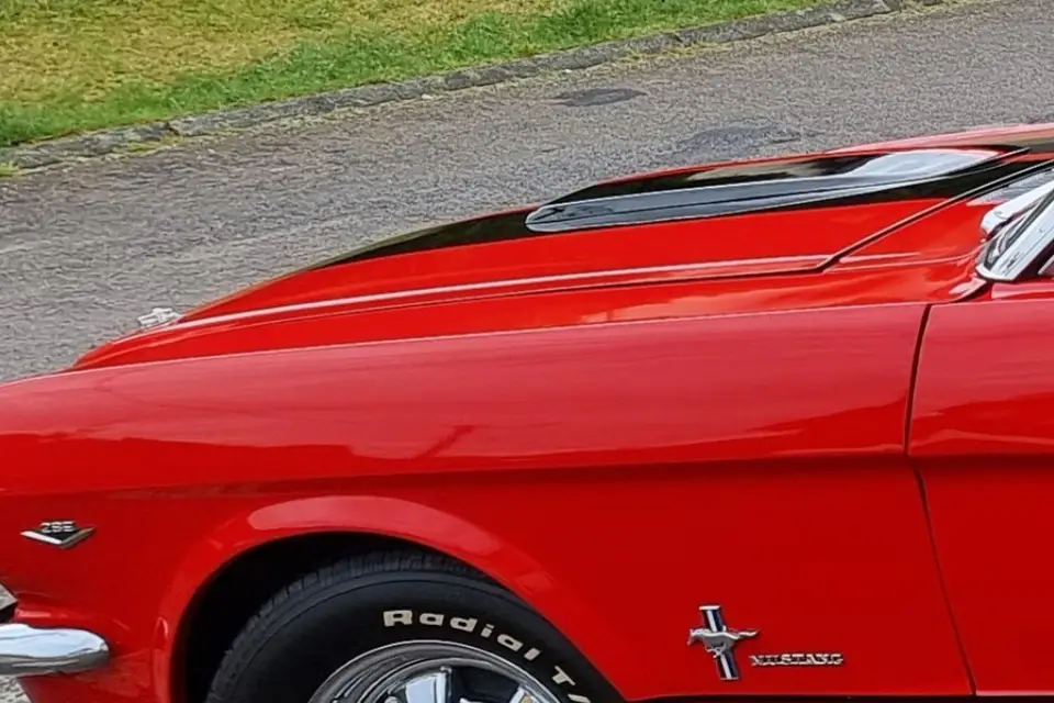 Mustang Location — photo 6