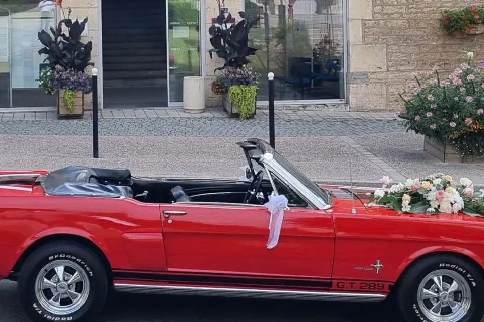 Mustang Location — photo 1