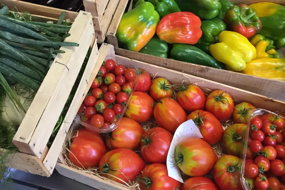 Saveurs et Papilles — photo 4