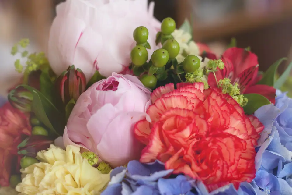 La Fabrique de Souvenirs — photo 1