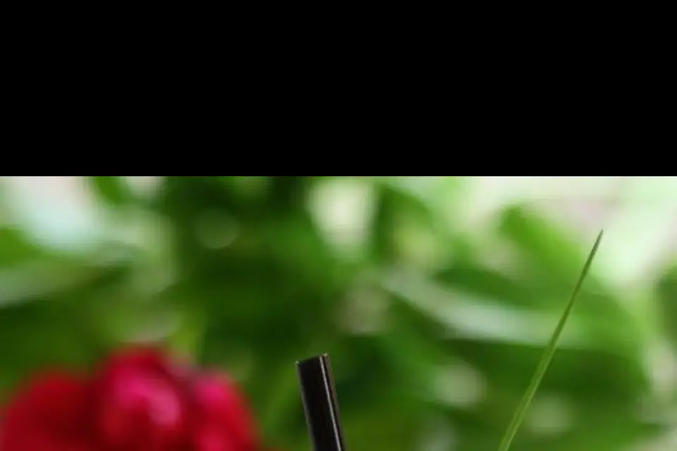 Saveurs et Papilles — photo 8