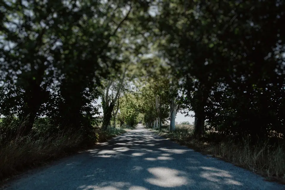 Domaine Belric — photo 3