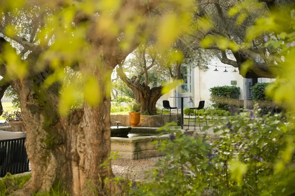 Mas Neuf — photo 3