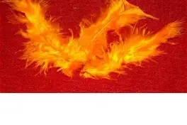 Mariage-décor — photo 4