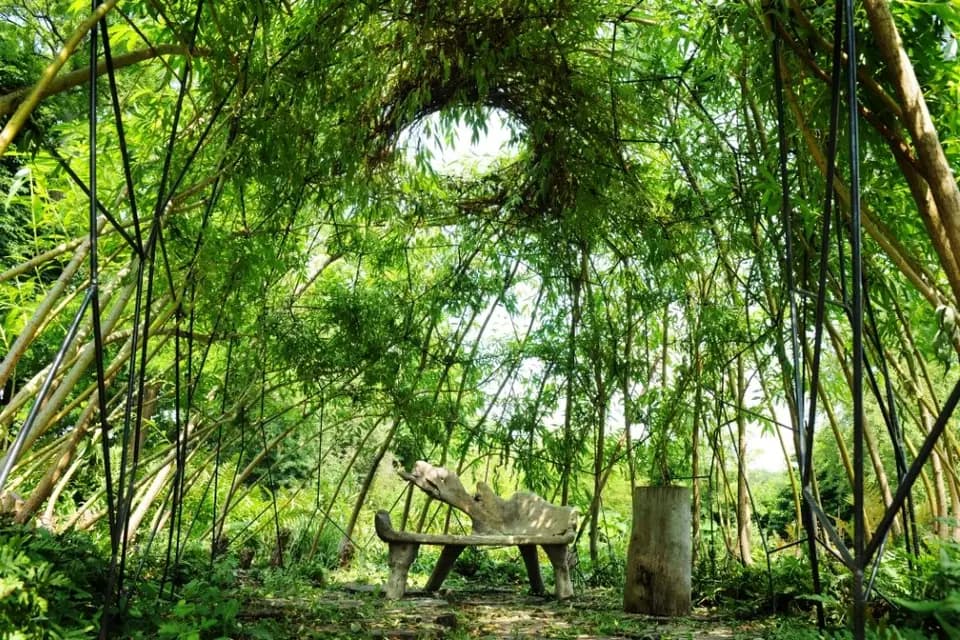 Domaine de Quincampoix — photo 7