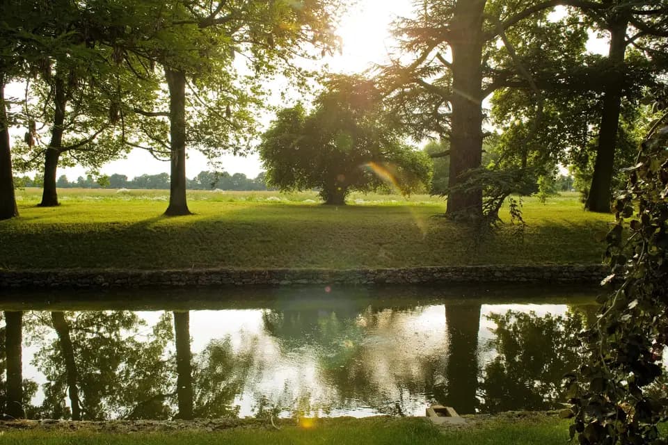 Domaine de Quincampoix — photo 9