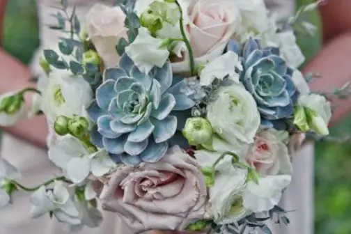 La Campanule — photo 5