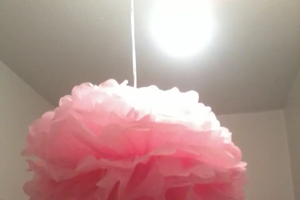 Chrysta Prestige — photo 1