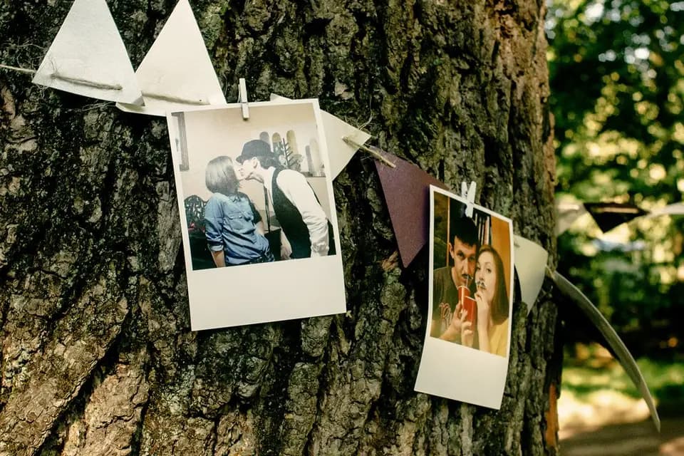 Instant Loc - Location de Polaroid — photo 7