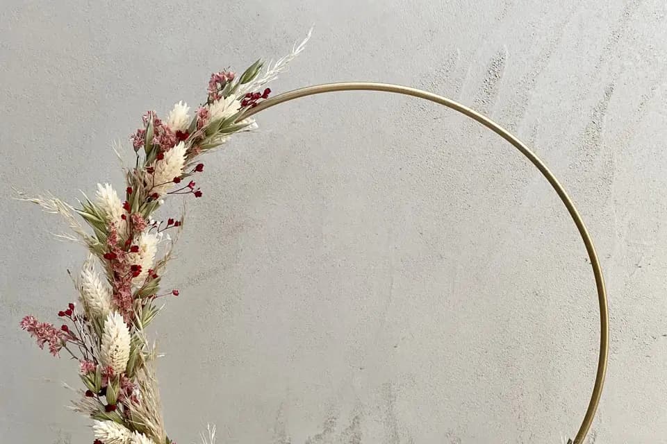 Belem Bouture — photo 6