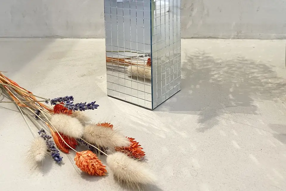 Belem Bouture — photo 2