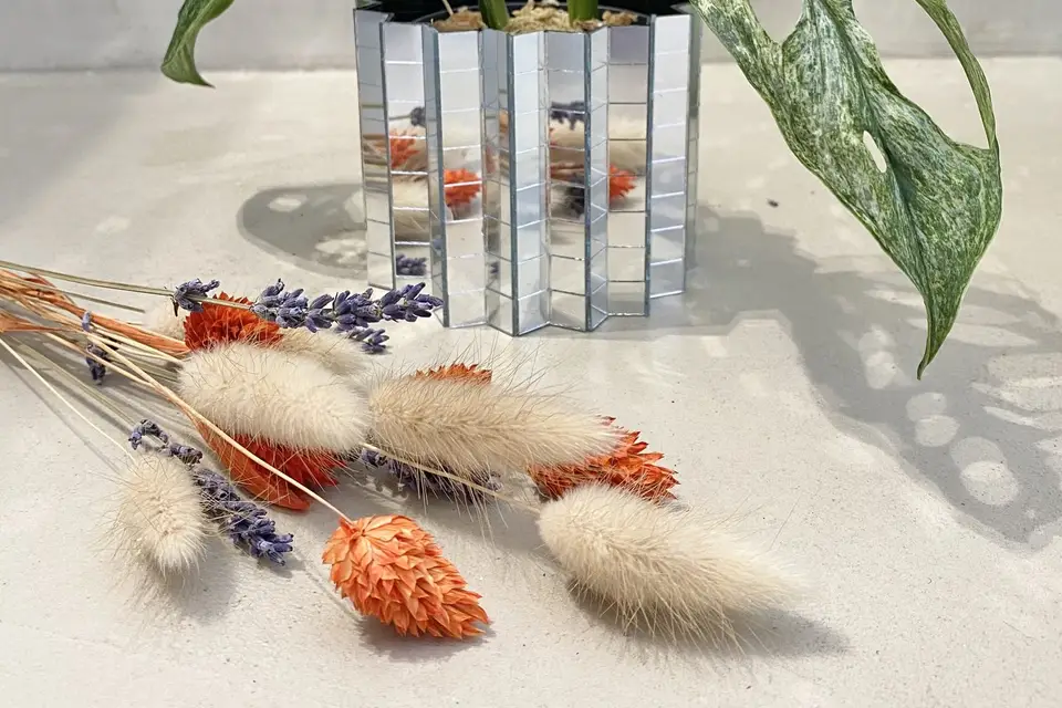 Belem Bouture — photo 3