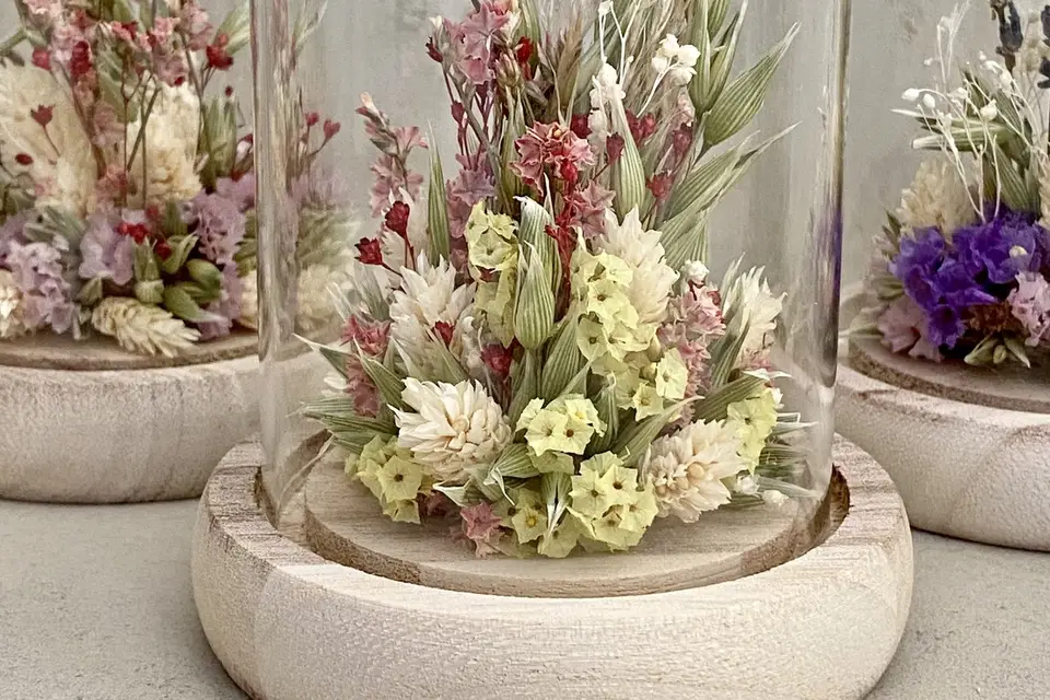 Belem Bouture — photo 7