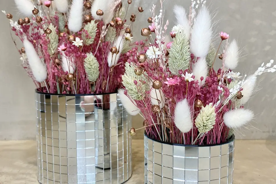 Belem Bouture — photo 8