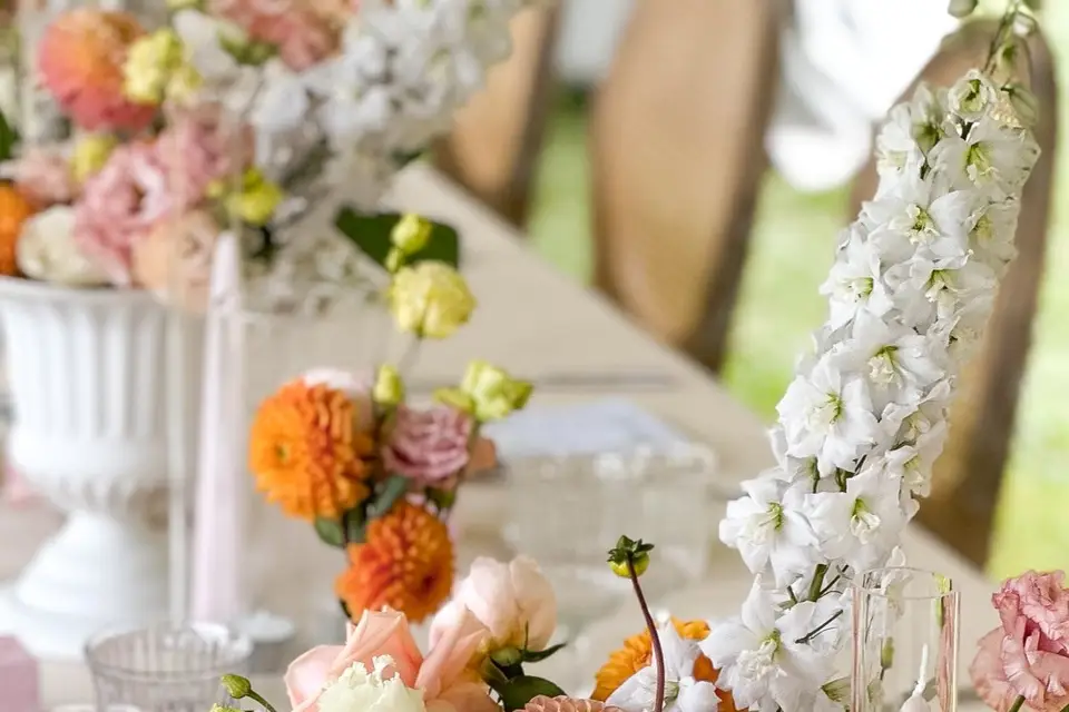 Hera Atelier — photo 5