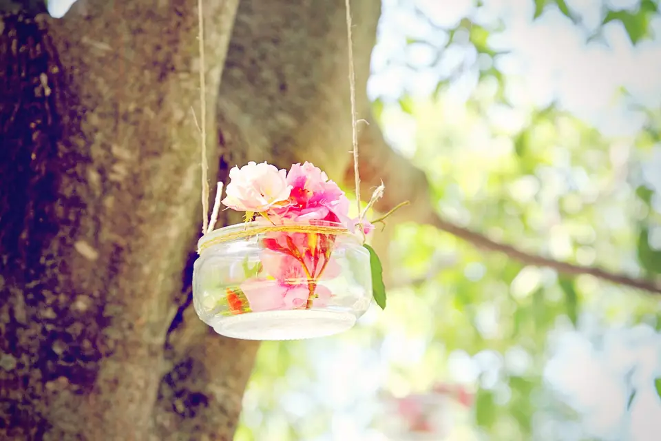 Image dans l'Image — photo 3