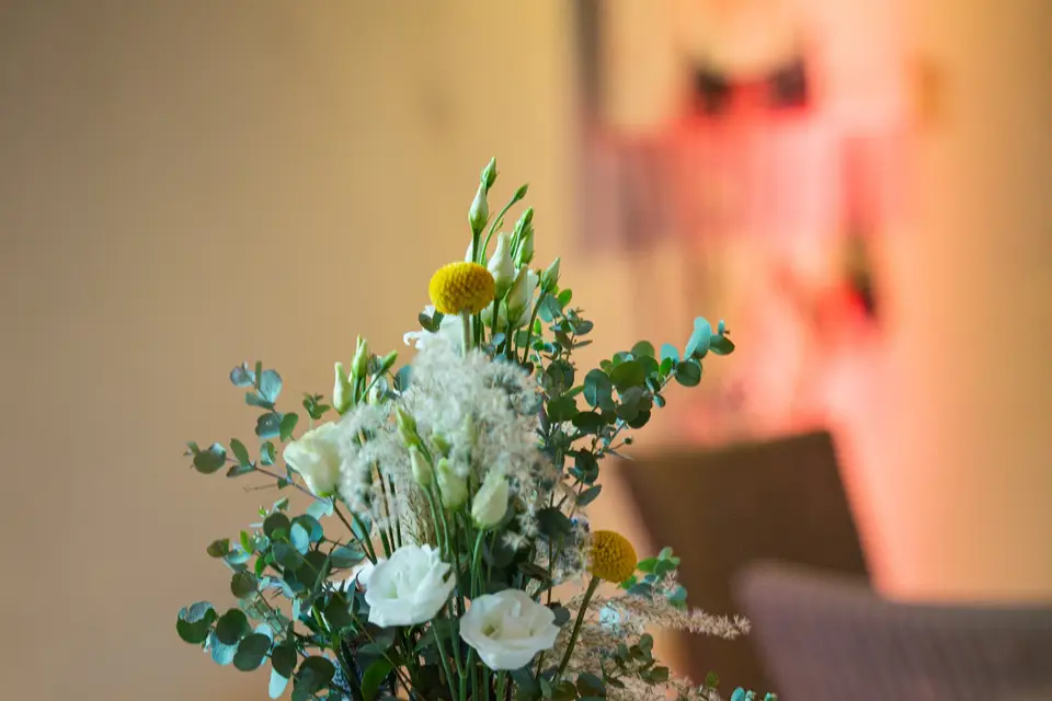 Maison Bazerque — photo 4