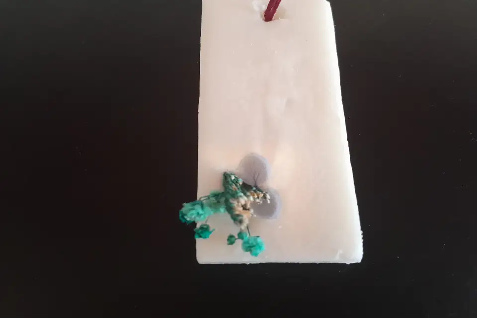 L'Essence d'Harmonie — photo 8