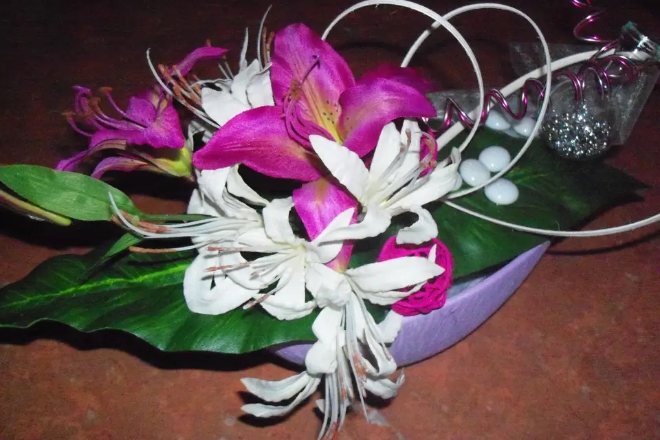 Nat Evènements — photo 2