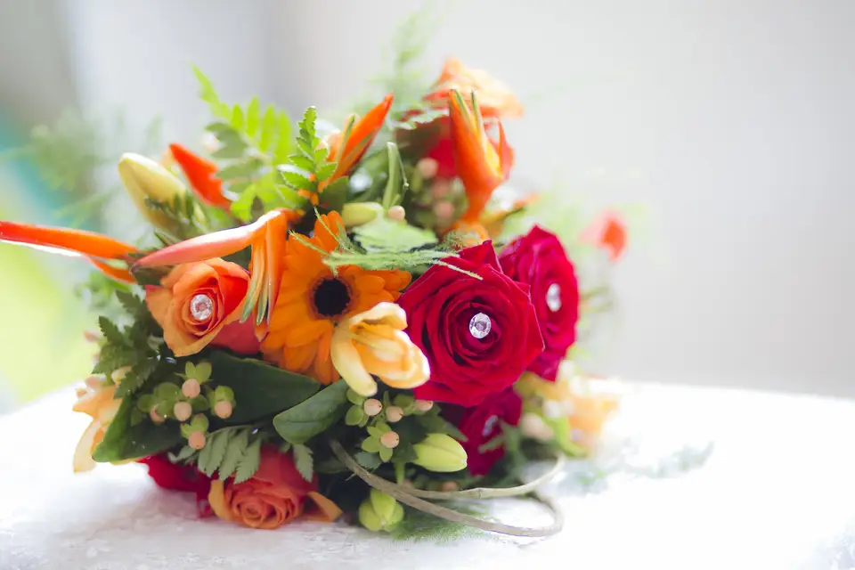 Mykron Photography — photo 1