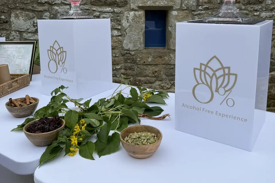 0% Alcohol Free Experience — photo 6