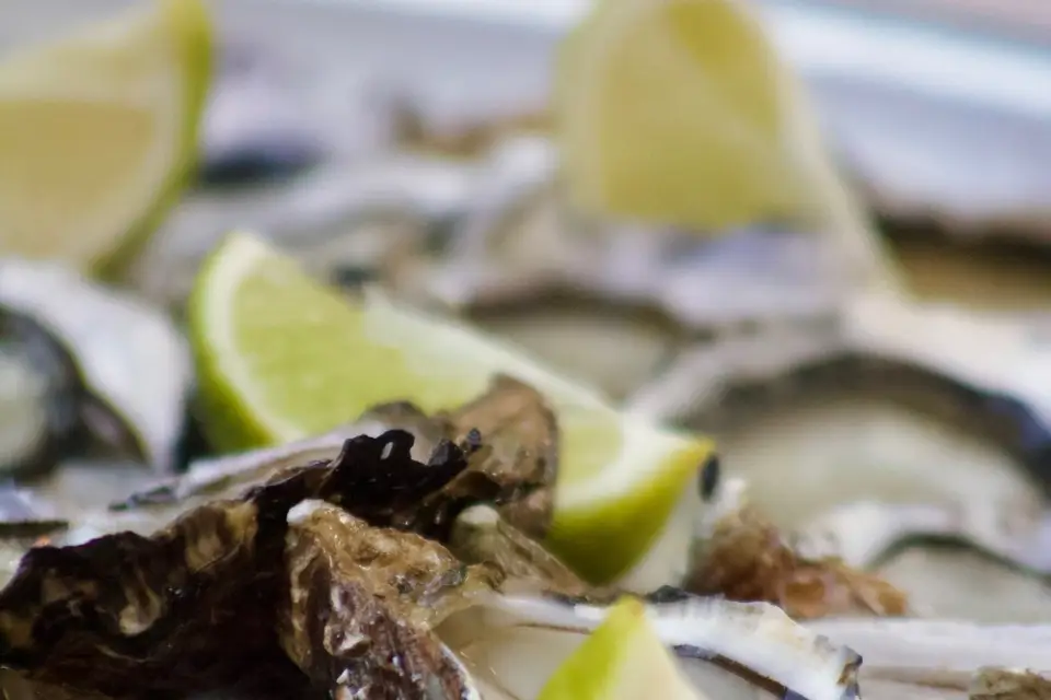 Lys D'or — photo 2