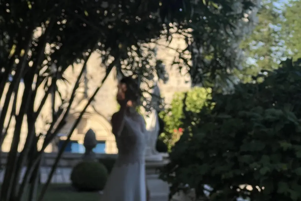 Lys D'or — photo 9