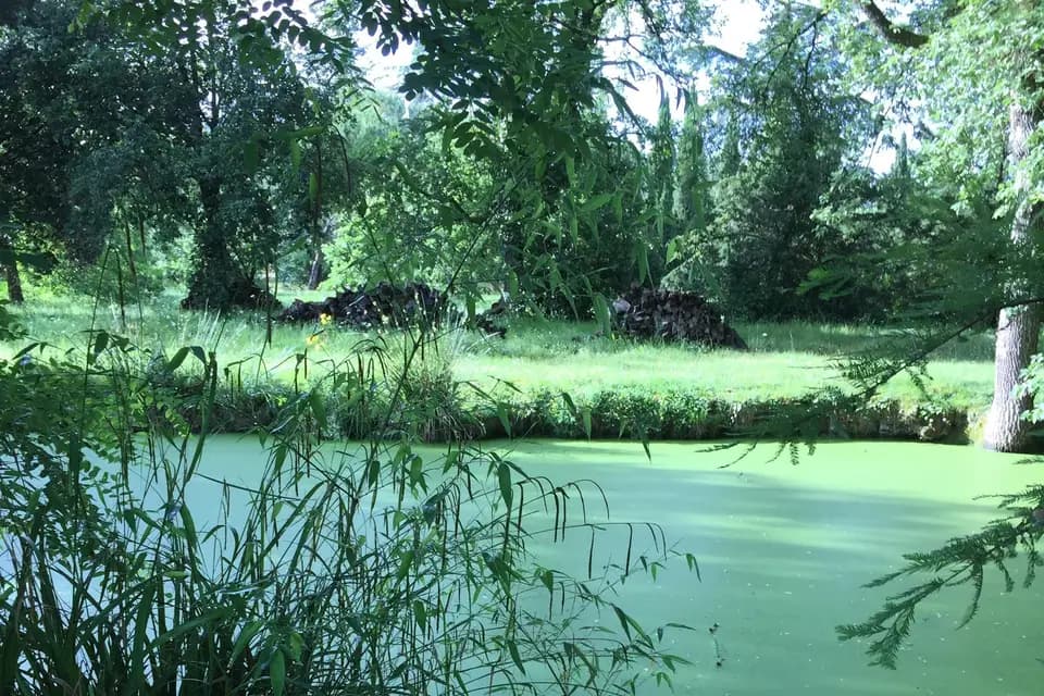 Château de Lalo — photo 6