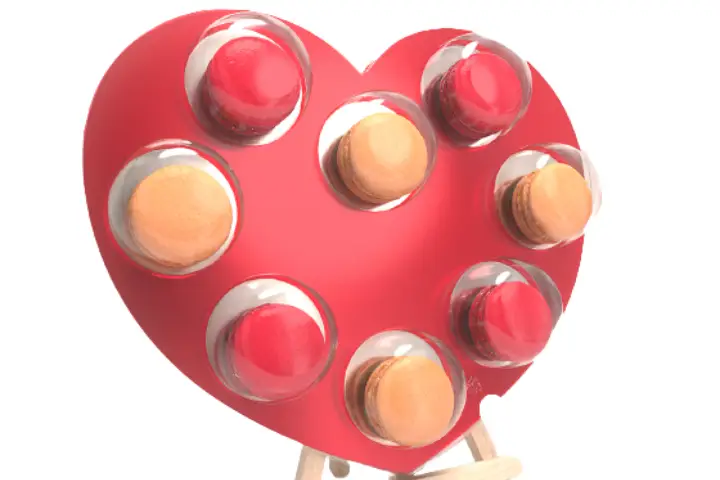 Les Toqués des Boîtes — photo 8