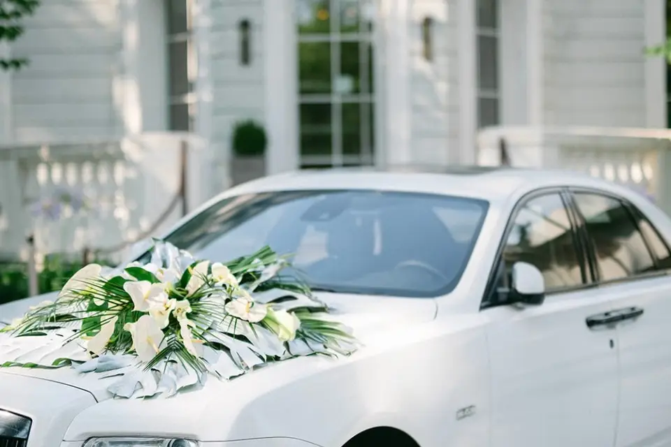 Luxury Prestige — photo 7