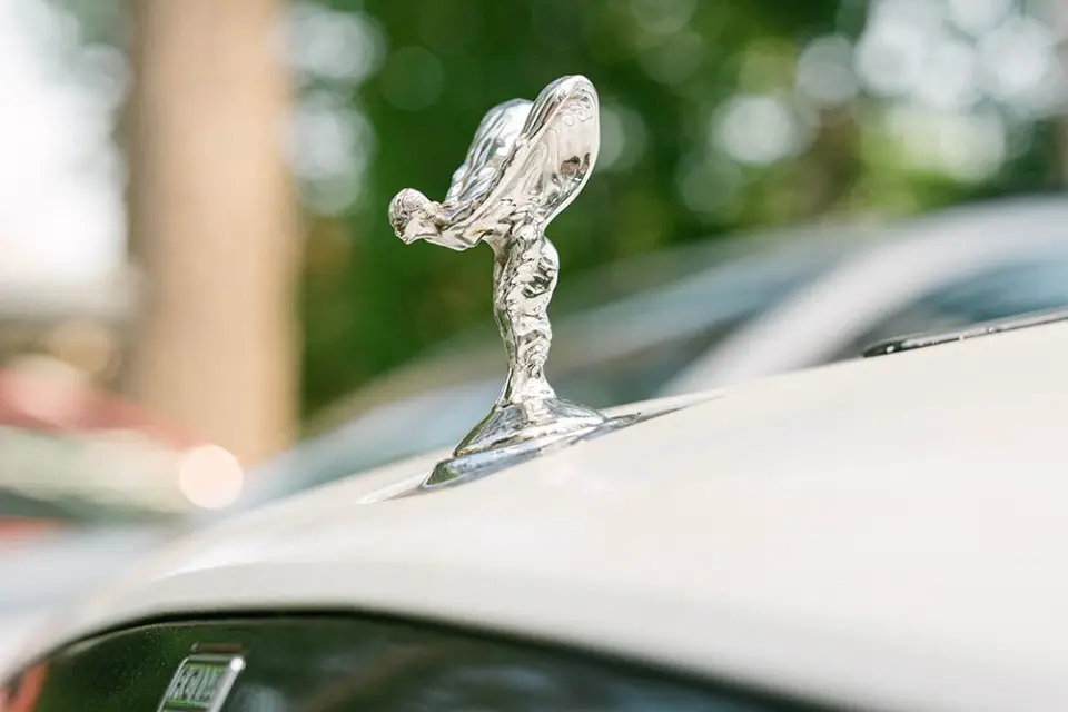 Luxury Prestige — photo 3