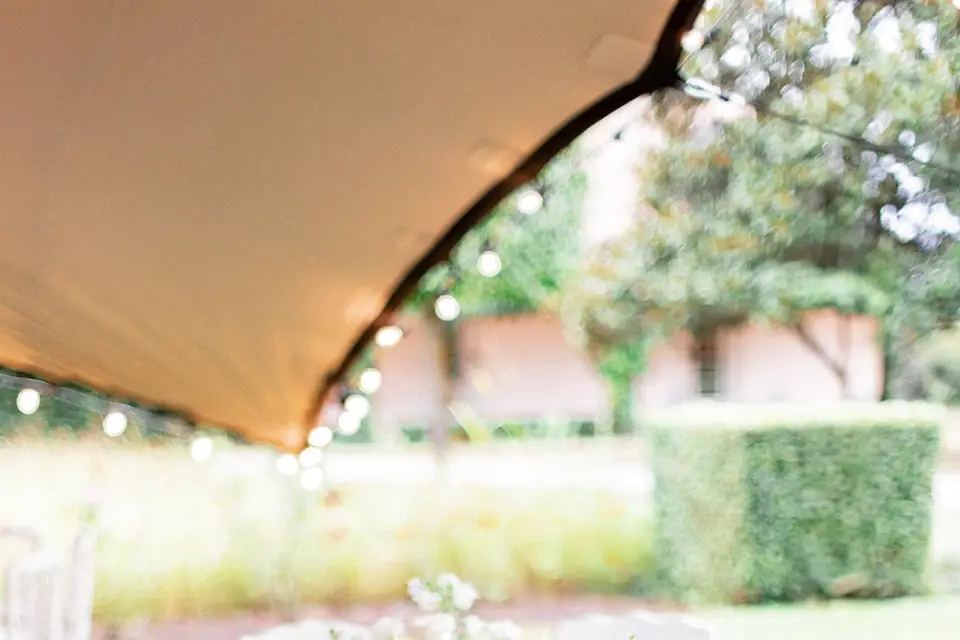 Mélissa Wilpotte — photo 3