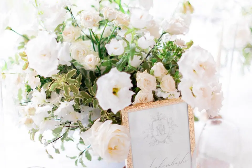 Mélissa Wilpotte — photo 4