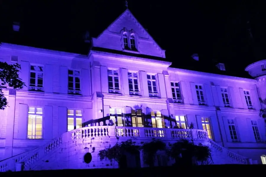 Angels Animation — photo 6