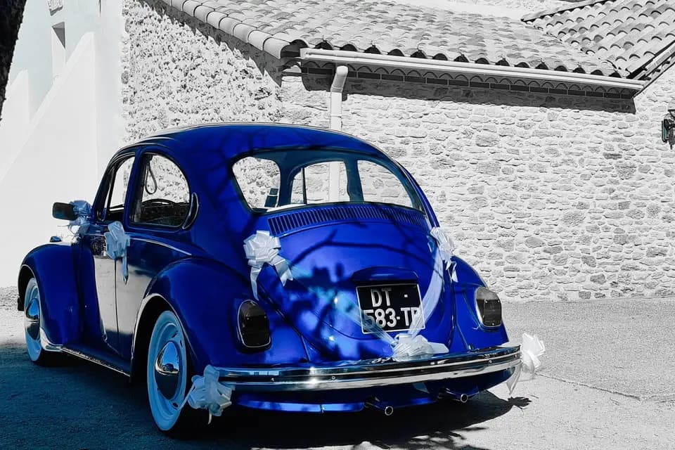 STB Location — photo 1