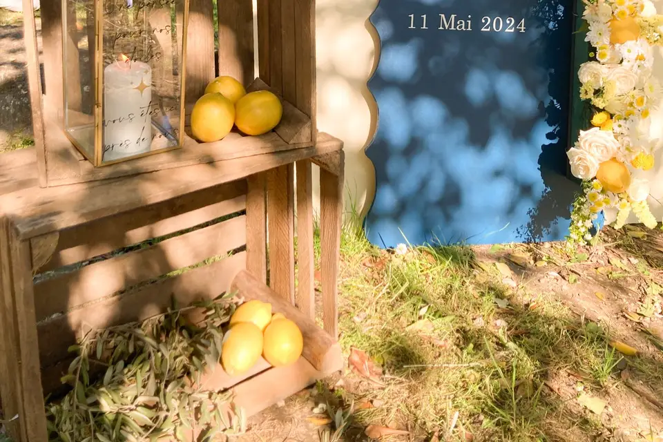 Design by Meg — photo 1