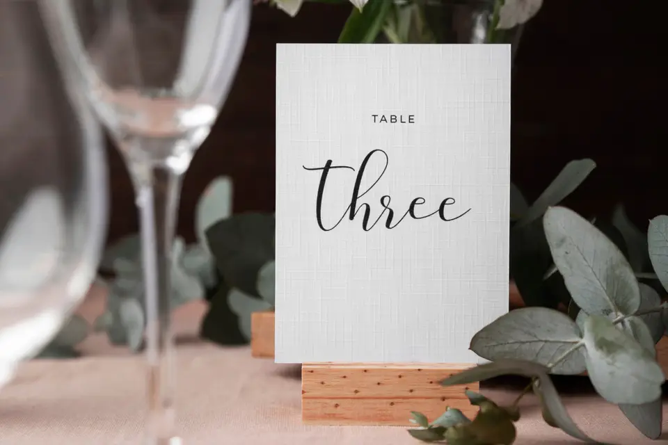 Agencely Wedding — photo 6