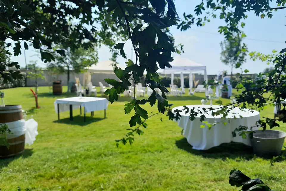 Auberg-in — photo 3