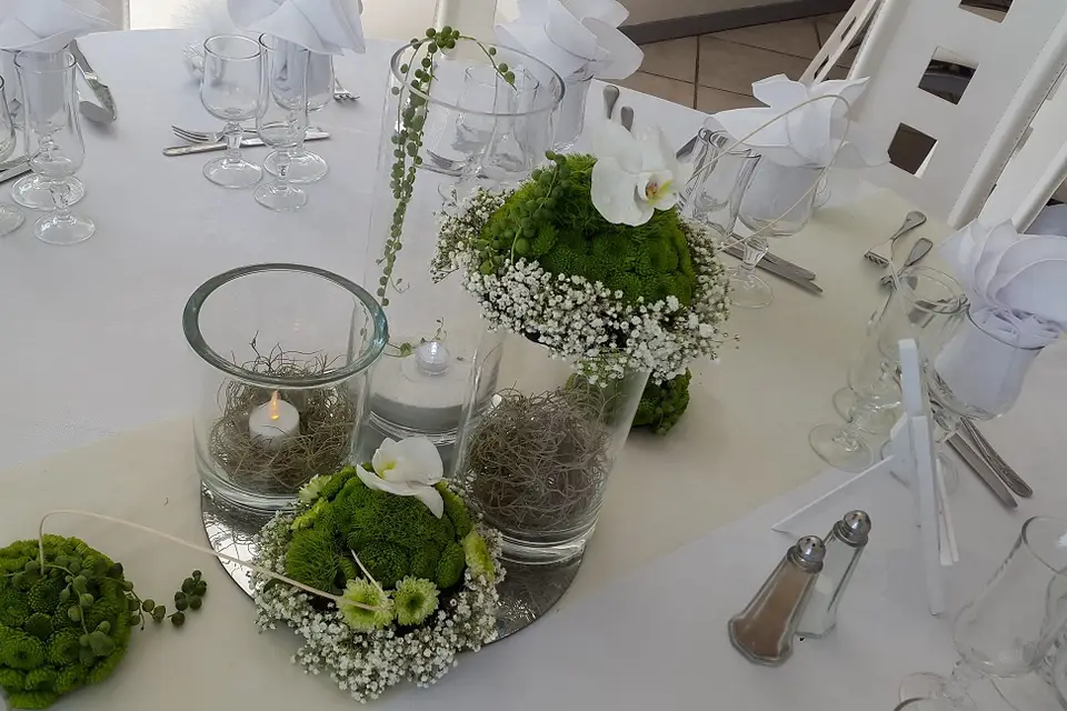 Laurent Renucci By R. — photo 8